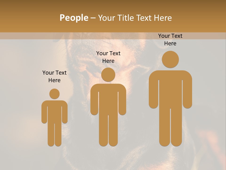 Friendly Attack Portrait PowerPoint Template