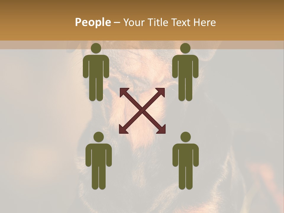 Friendly Attack Portrait PowerPoint Template