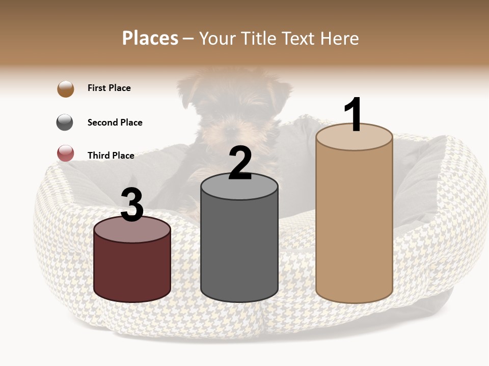 Pillow Small Domestic PowerPoint Template