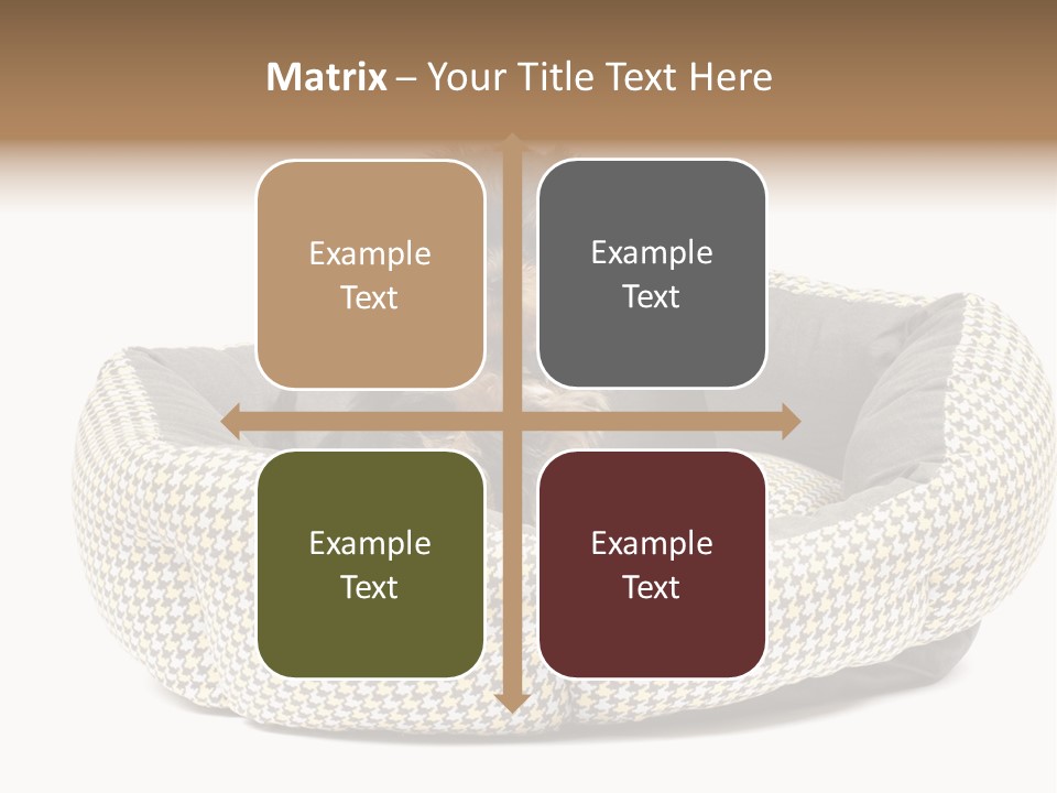 Pillow Small Domestic PowerPoint Template