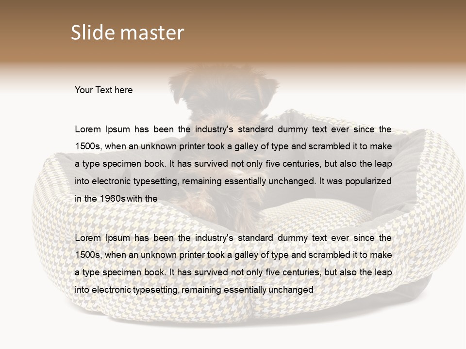 Pillow Small Domestic PowerPoint Template