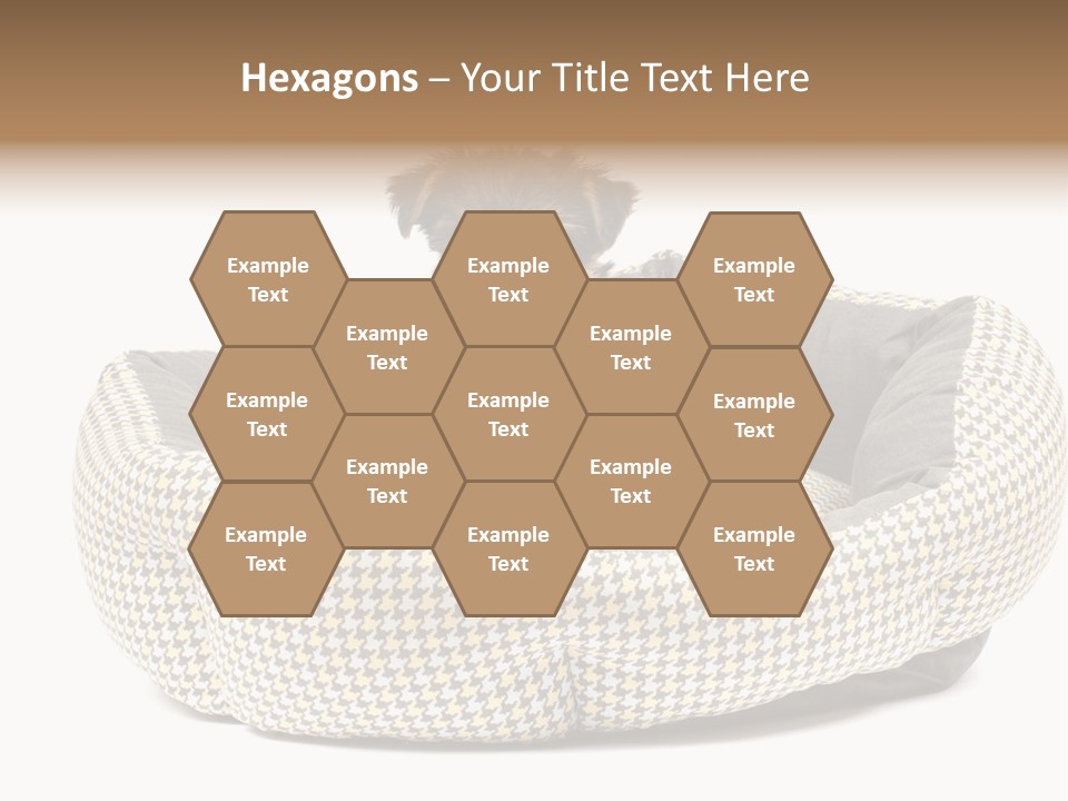 Pillow Small Domestic PowerPoint Template