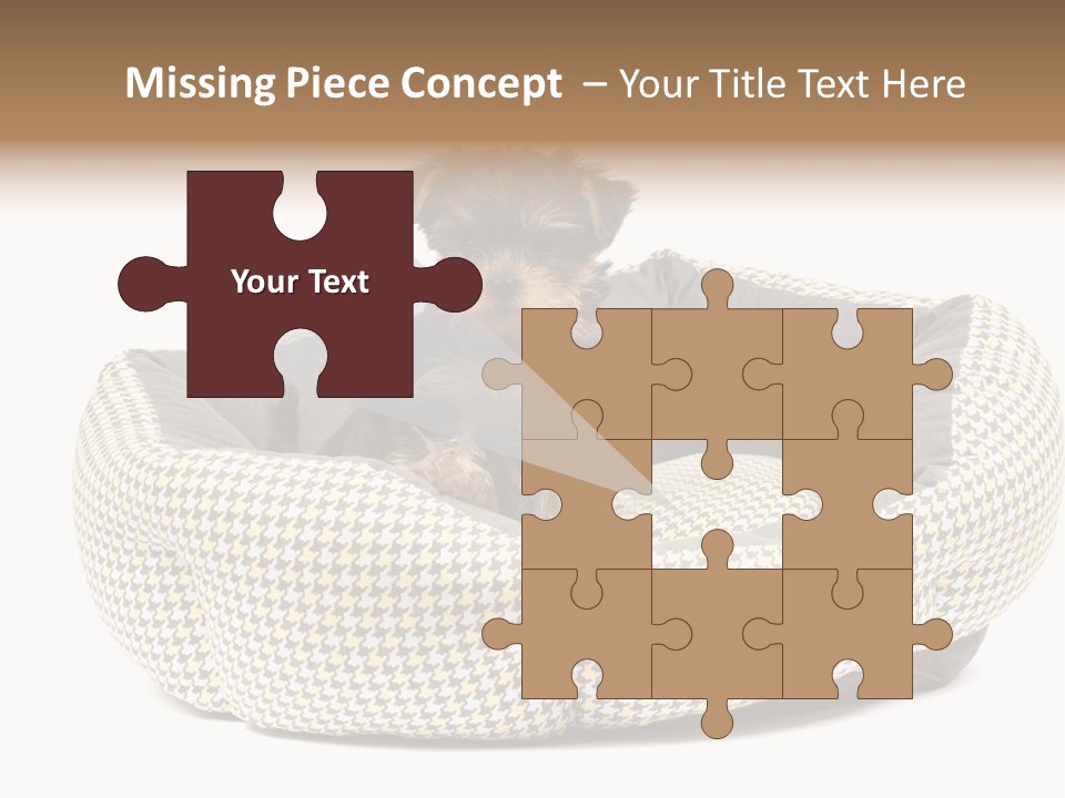 Pillow Small Domestic PowerPoint Template