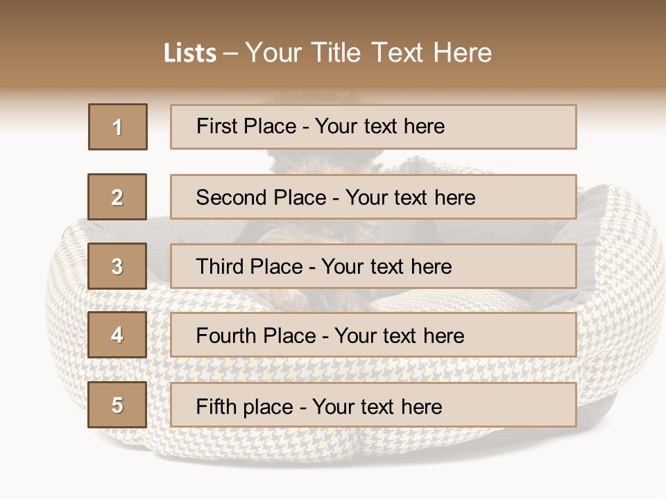 Pillow Small Domestic PowerPoint Template