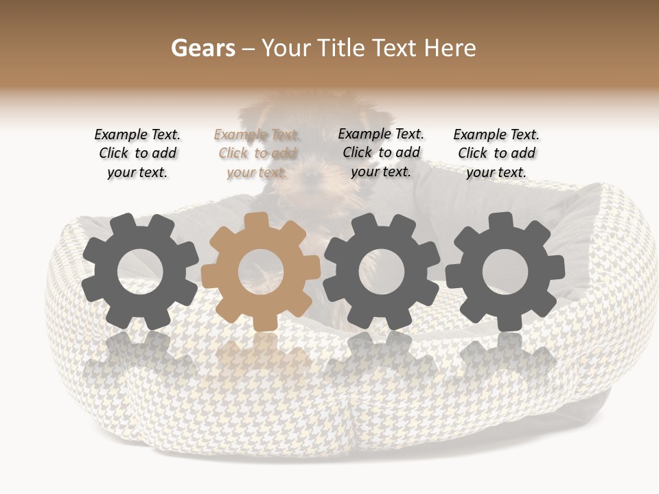 Pillow Small Domestic PowerPoint Template