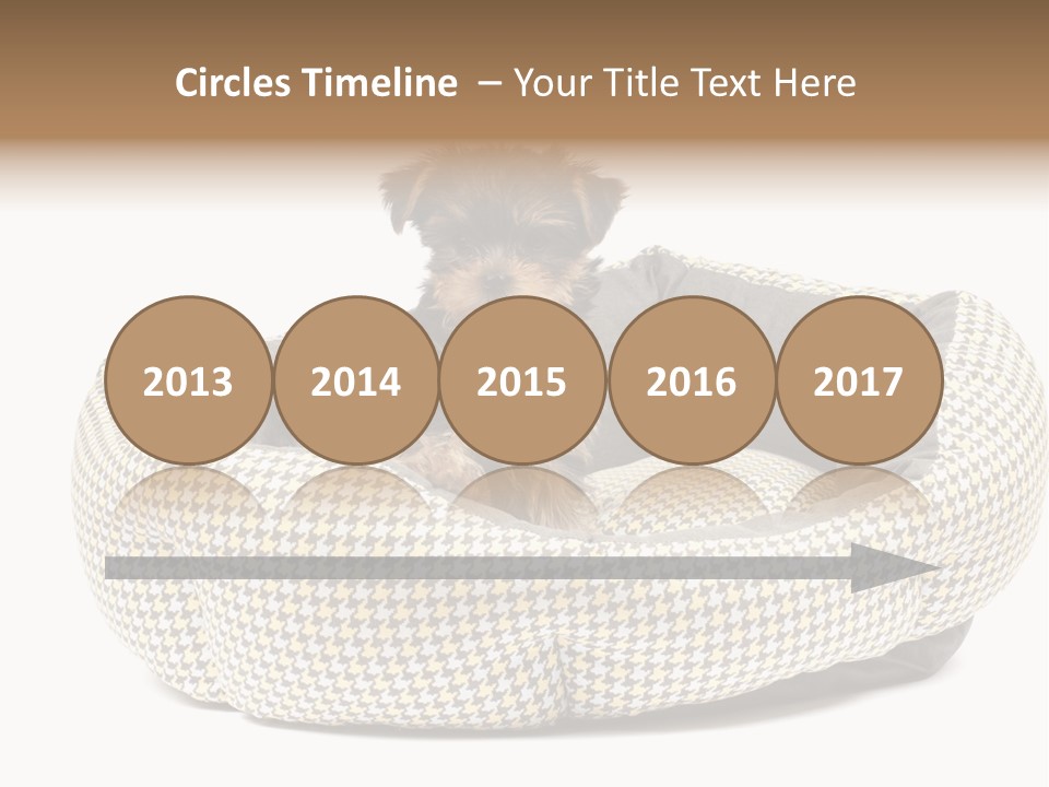 Pillow Small Domestic PowerPoint Template