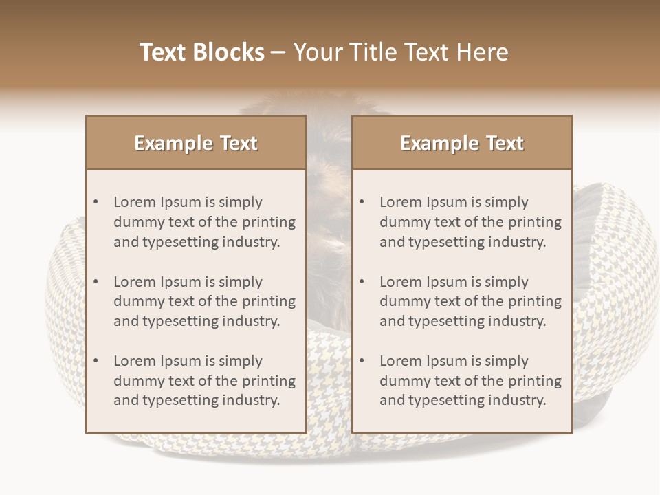 Pillow Small Domestic PowerPoint Template