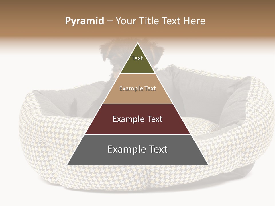 Pillow Small Domestic PowerPoint Template