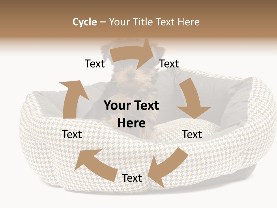 Pillow Small Domestic PowerPoint Template