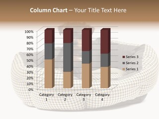 Pillow Small Domestic PowerPoint Template