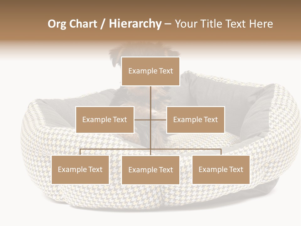 Pillow Small Domestic PowerPoint Template