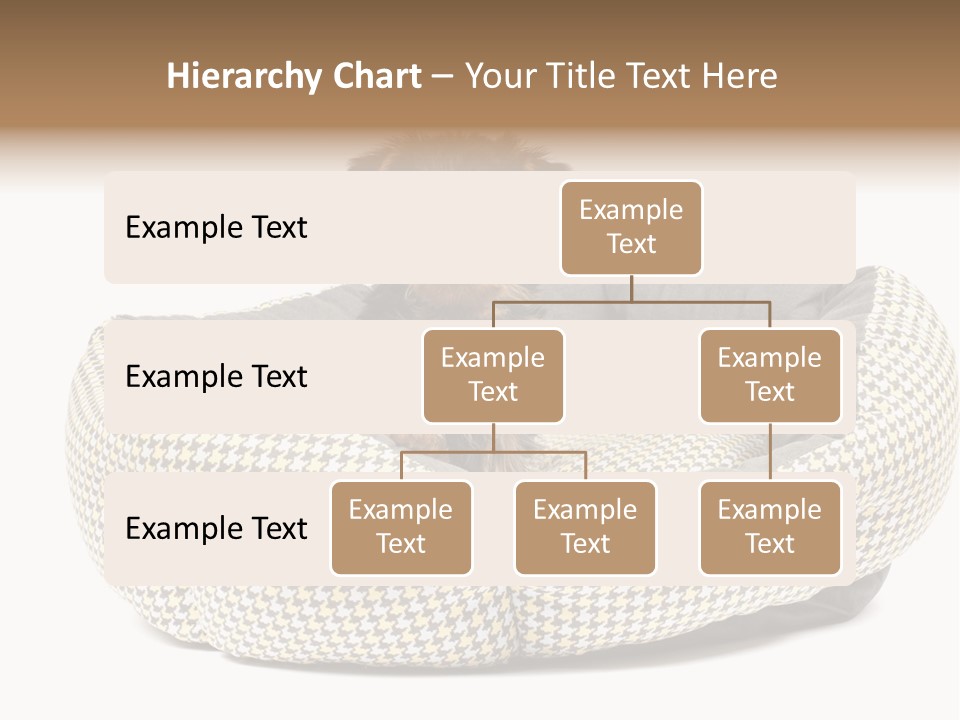 Pillow Small Domestic PowerPoint Template
