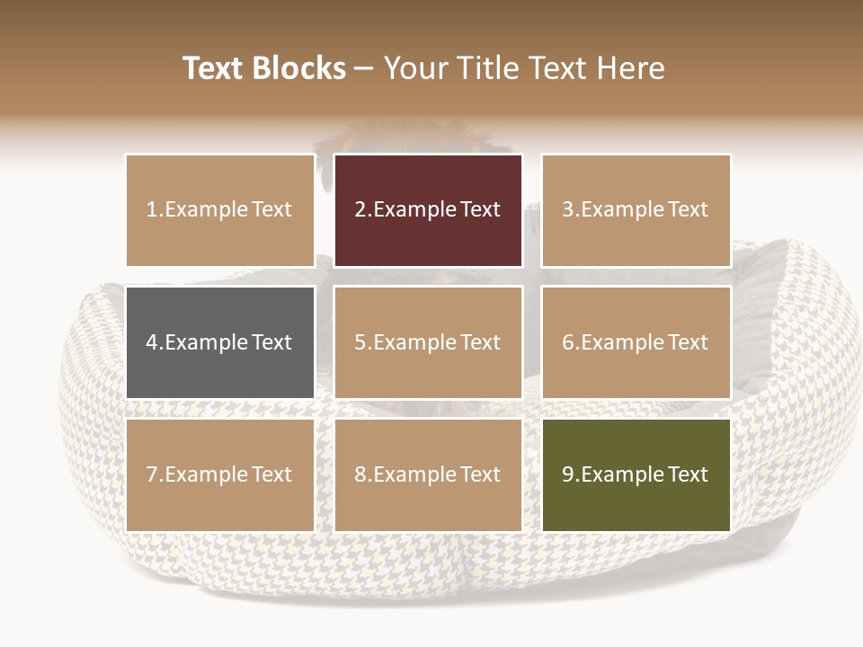 Pillow Small Domestic PowerPoint Template