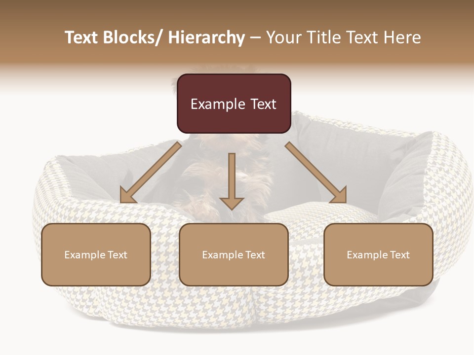 Pillow Small Domestic PowerPoint Template