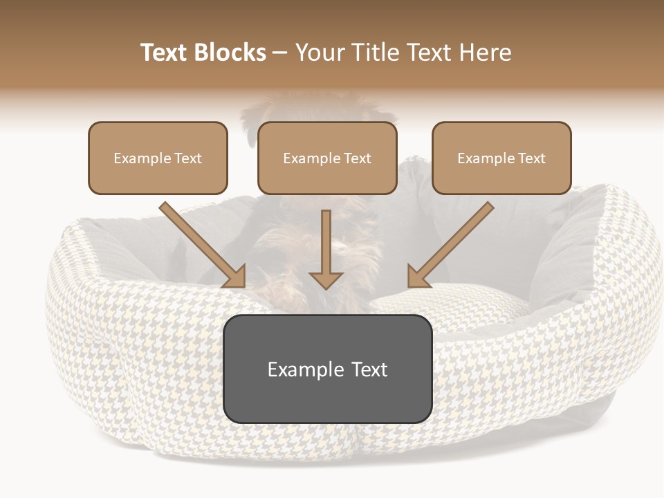Pillow Small Domestic PowerPoint Template