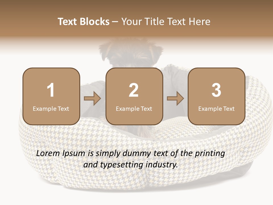 Pillow Small Domestic PowerPoint Template