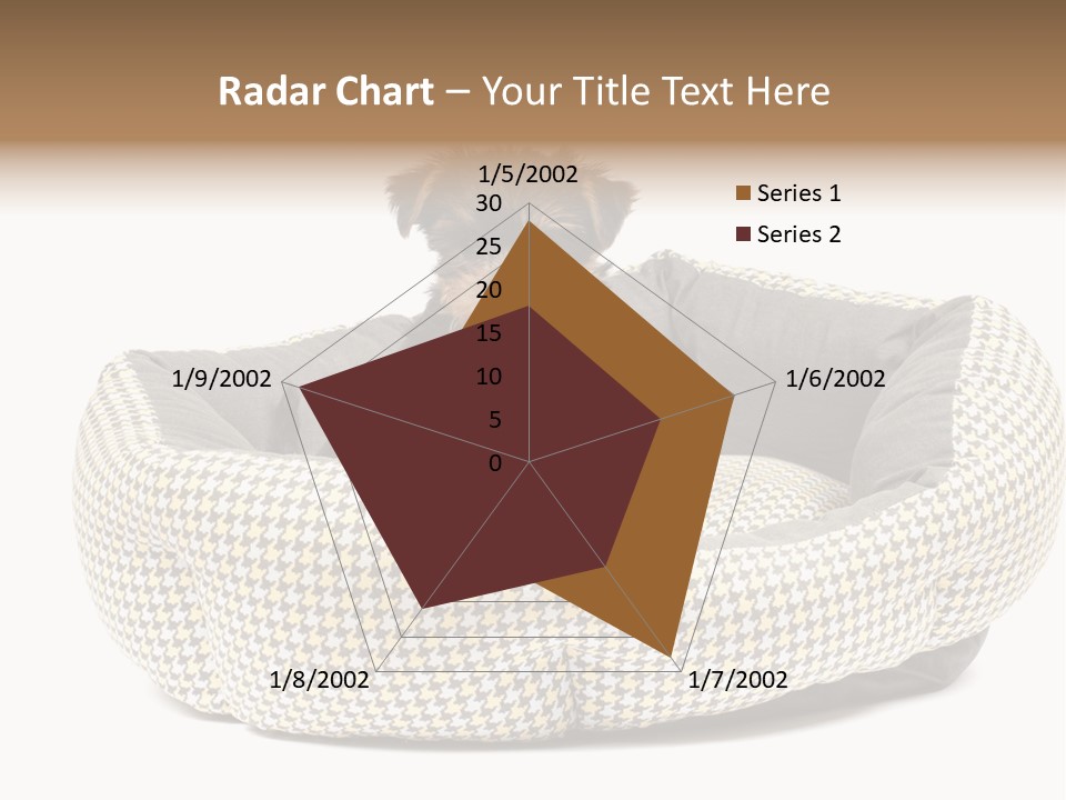 Pillow Small Domestic PowerPoint Template