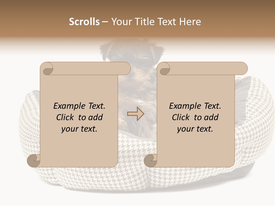 Pillow Small Domestic PowerPoint Template