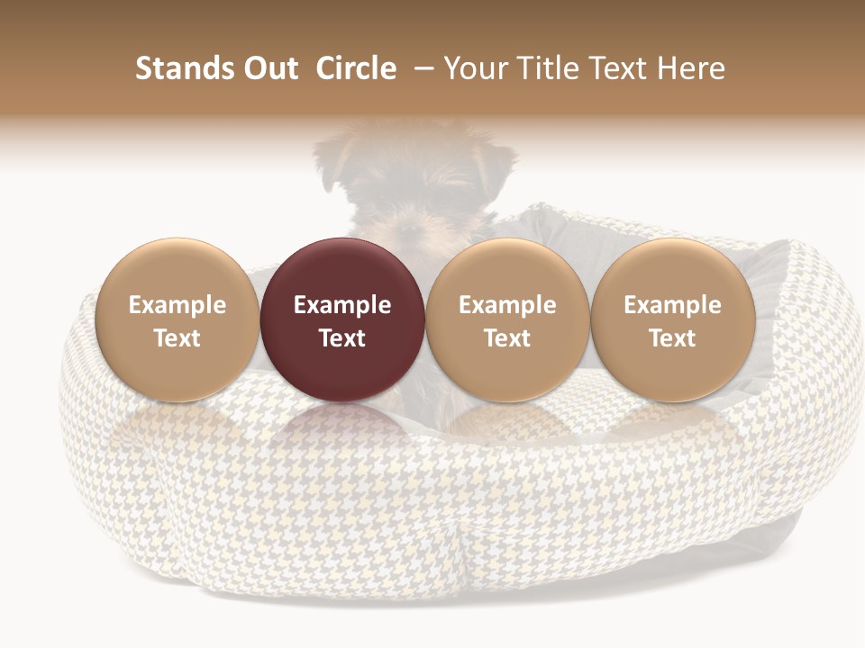 Pillow Small Domestic PowerPoint Template