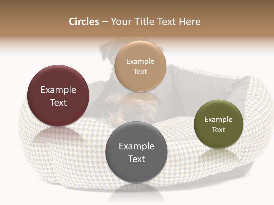 Pillow Small Domestic PowerPoint Template