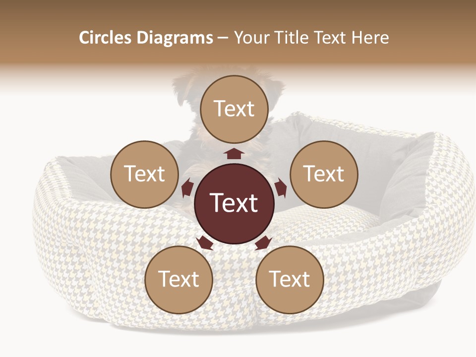 Pillow Small Domestic PowerPoint Template