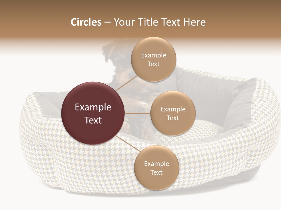 Pillow Small Domestic PowerPoint Template