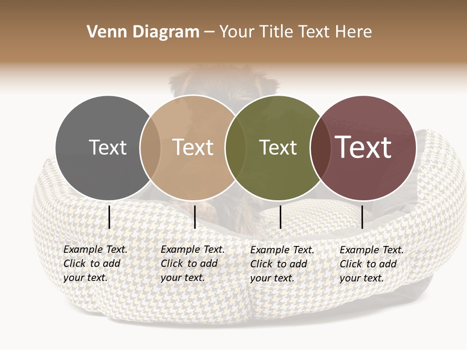 Pillow Small Domestic PowerPoint Template