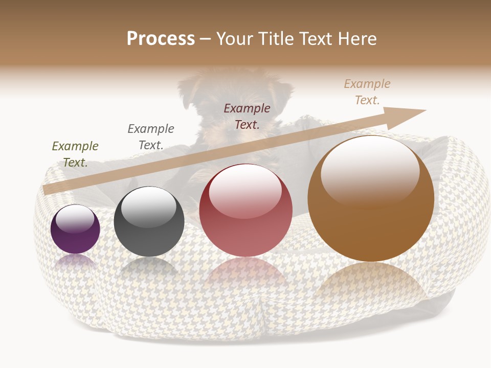 Pillow Small Domestic PowerPoint Template