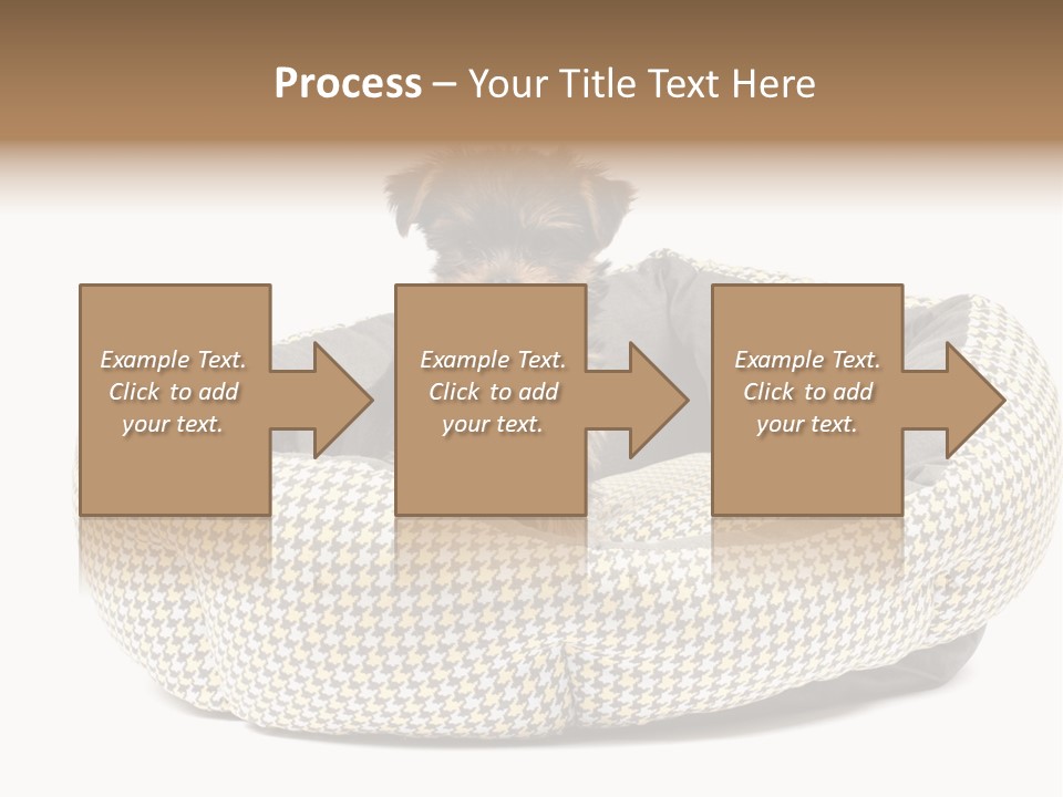 Pillow Small Domestic PowerPoint Template