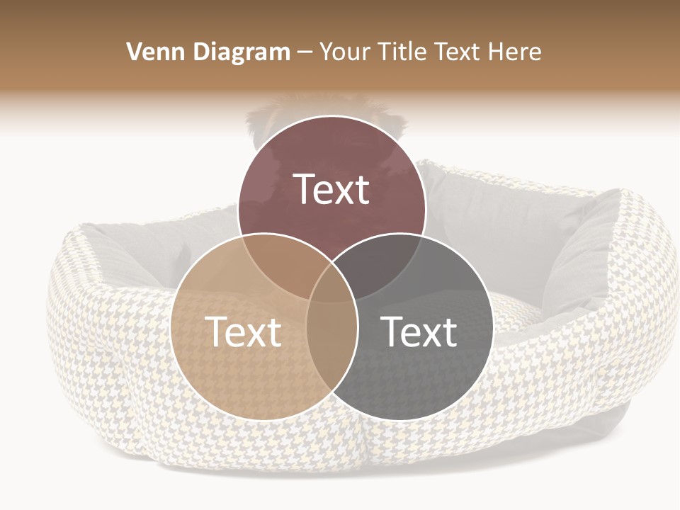 Pillow Small Domestic PowerPoint Template
