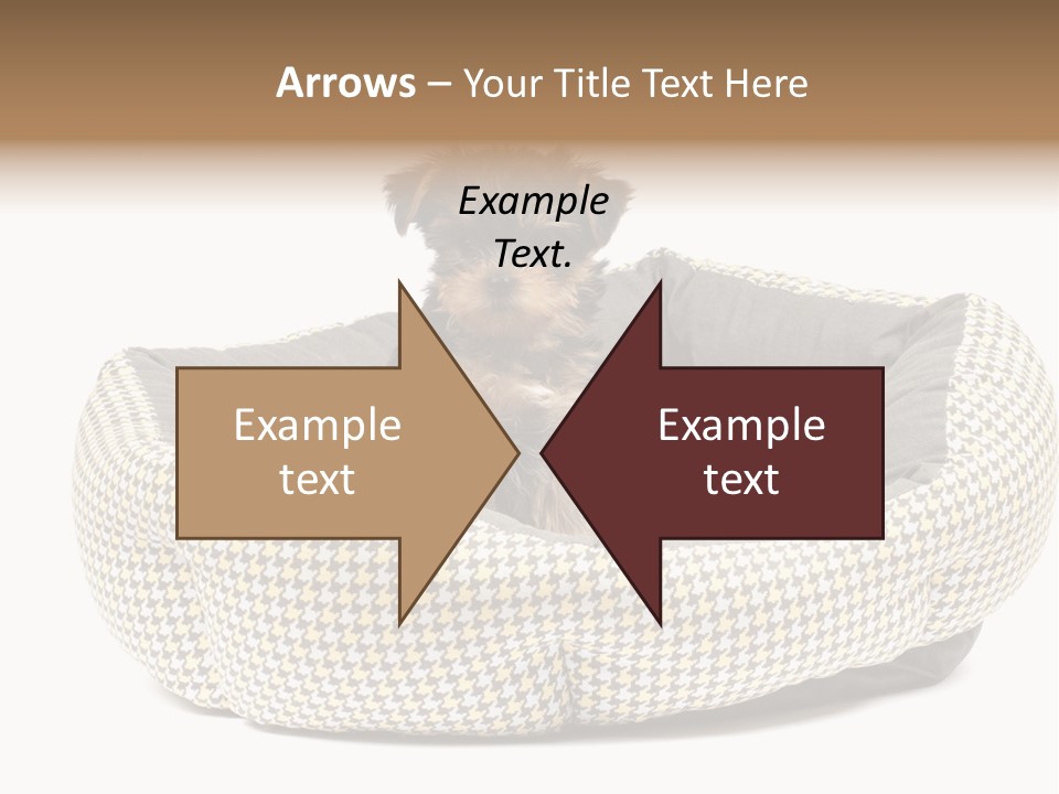 Pillow Small Domestic PowerPoint Template