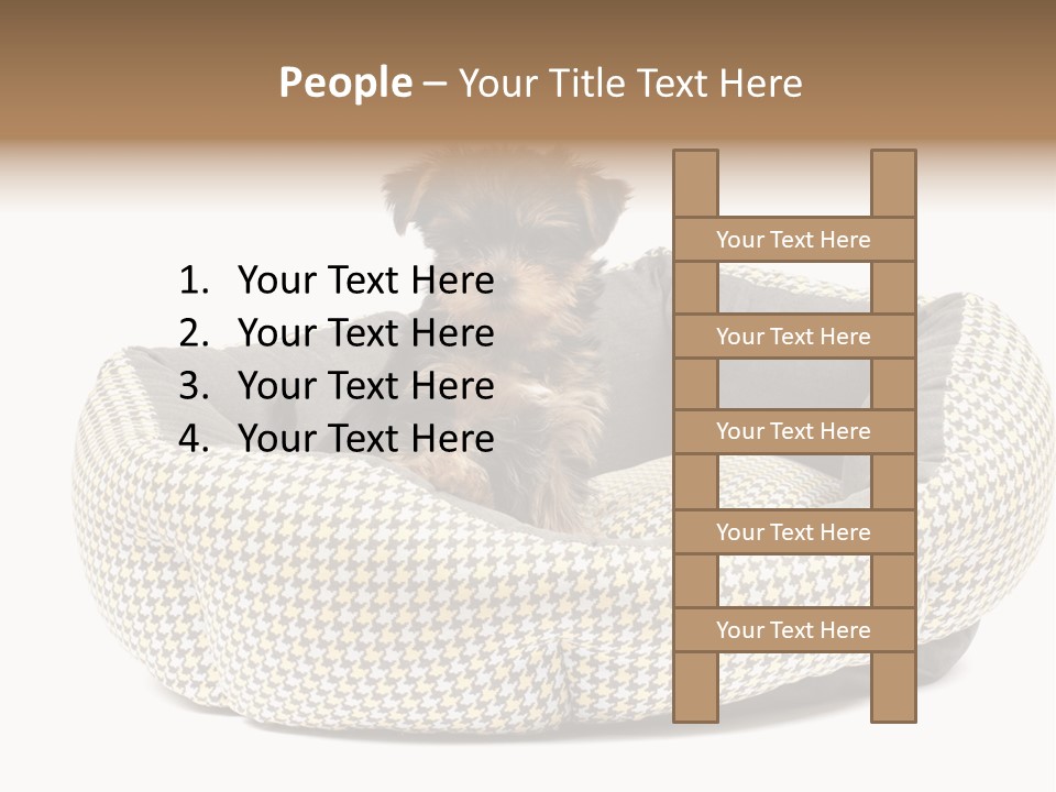 Pillow Small Domestic PowerPoint Template