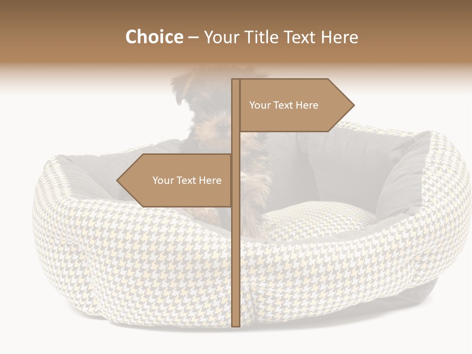 Pillow Small Domestic PowerPoint Template