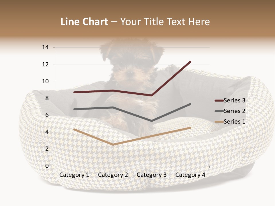 Pillow Small Domestic PowerPoint Template