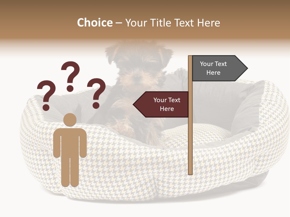 Pillow Small Domestic PowerPoint Template