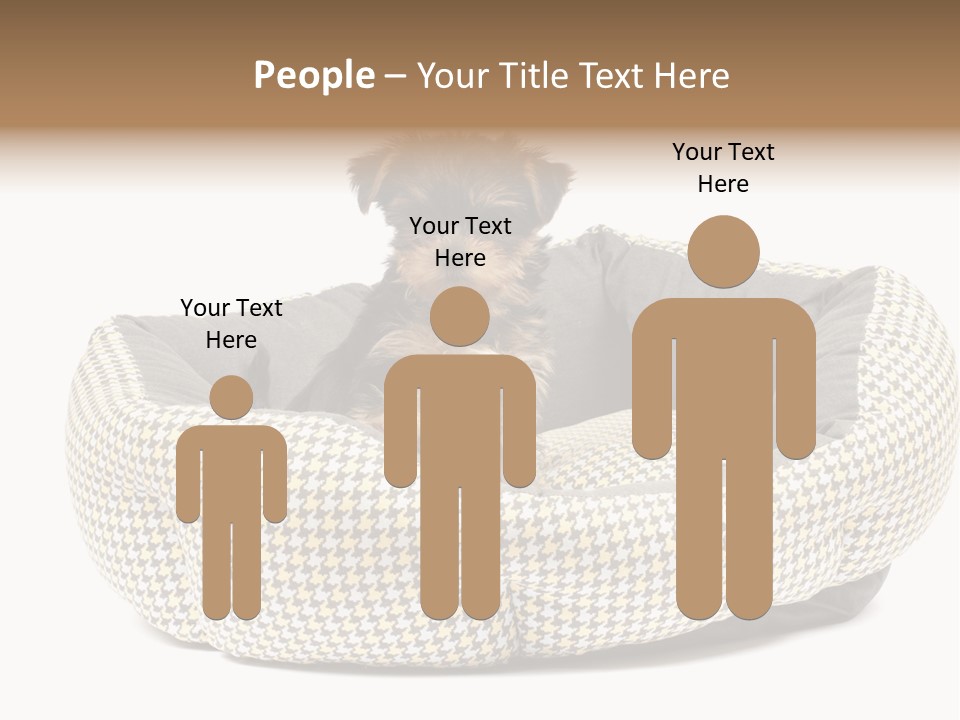 Pillow Small Domestic PowerPoint Template