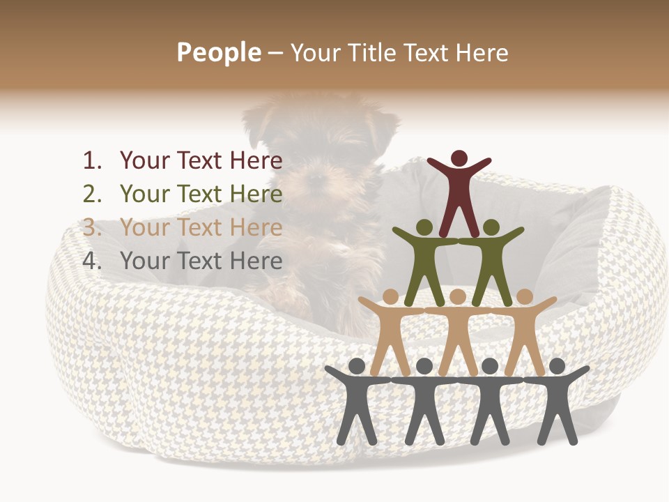 Pillow Small Domestic PowerPoint Template