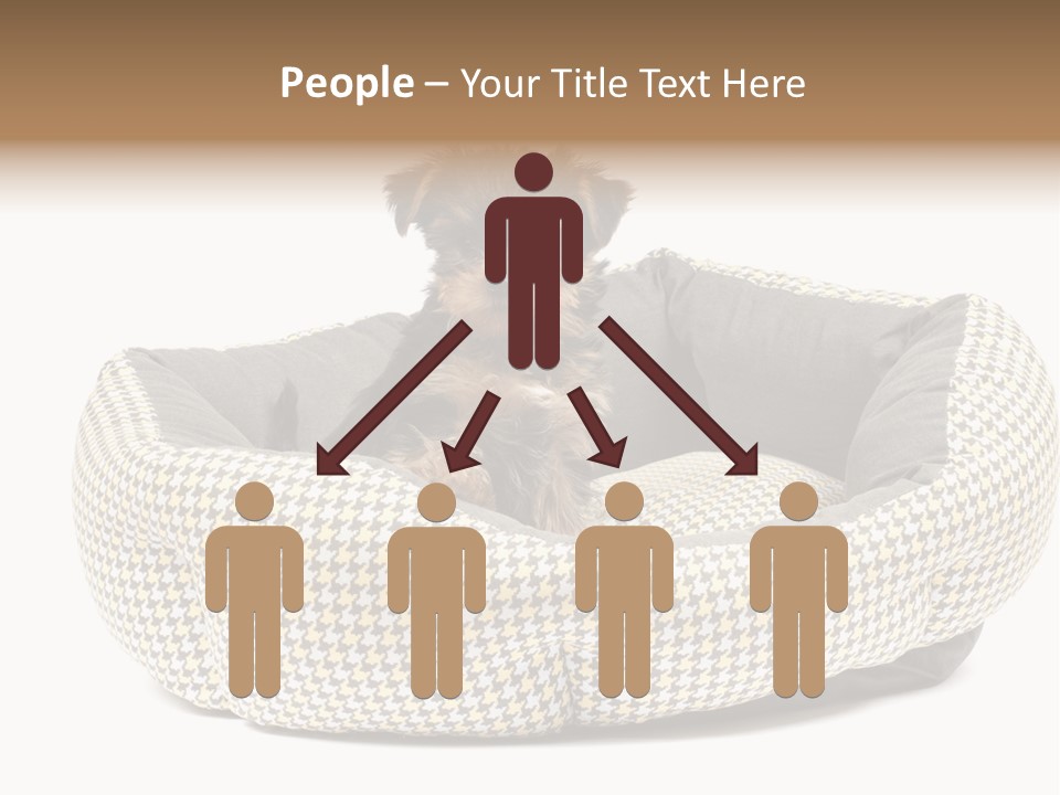 Pillow Small Domestic PowerPoint Template