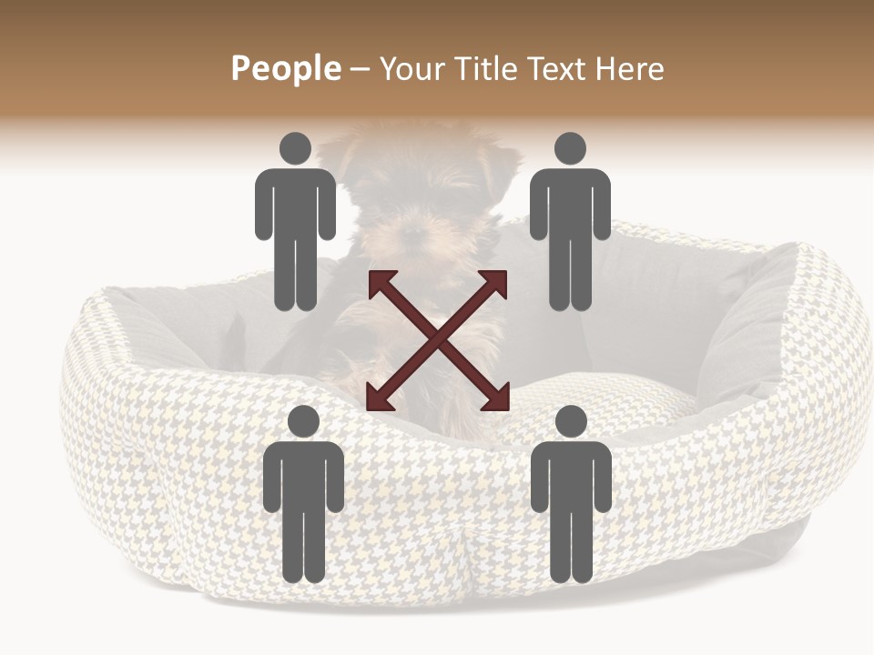 Pillow Small Domestic PowerPoint Template