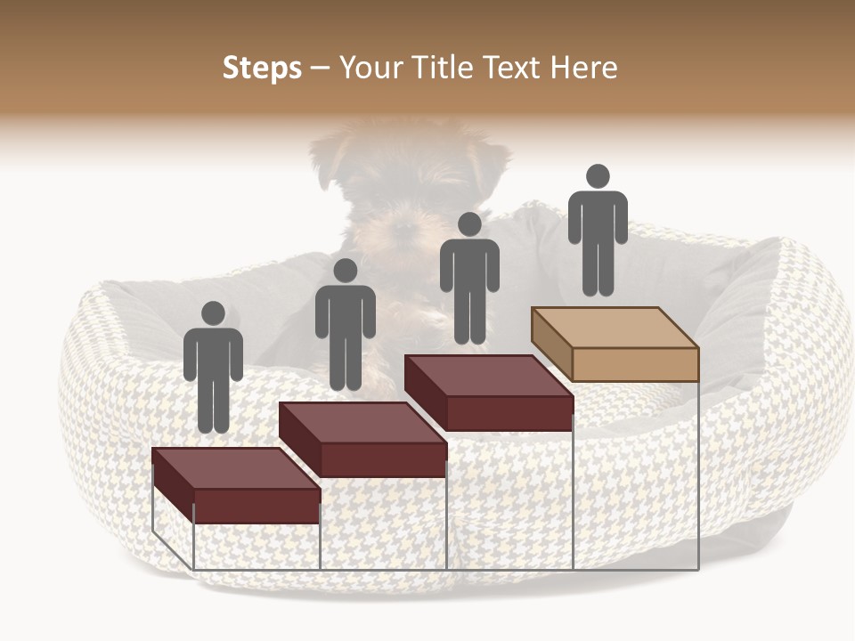 Pillow Small Domestic PowerPoint Template