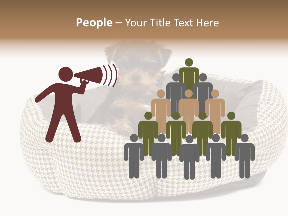 Pillow Small Domestic PowerPoint Template