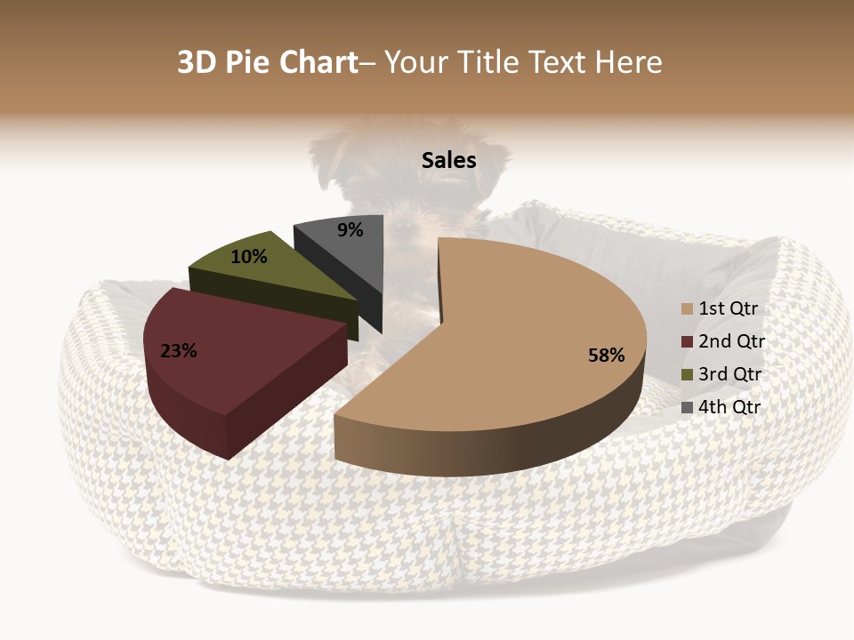 Pillow Small Domestic PowerPoint Template