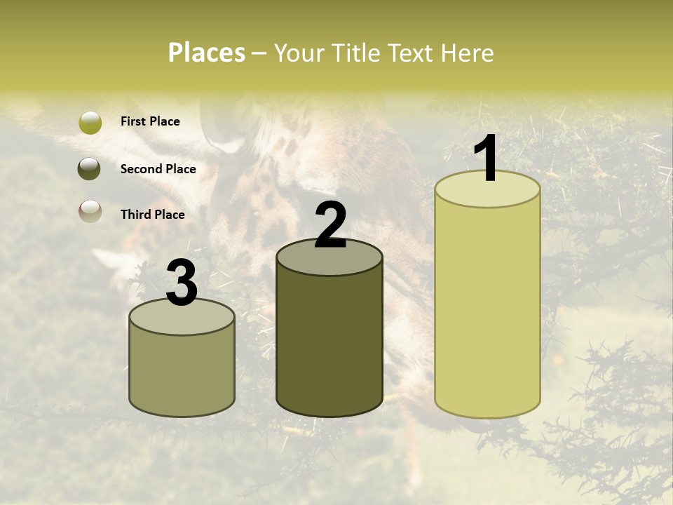 Tier Africa Big PowerPoint Template