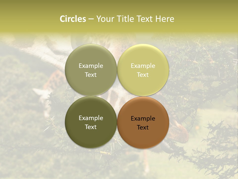 Tier Africa Big PowerPoint Template