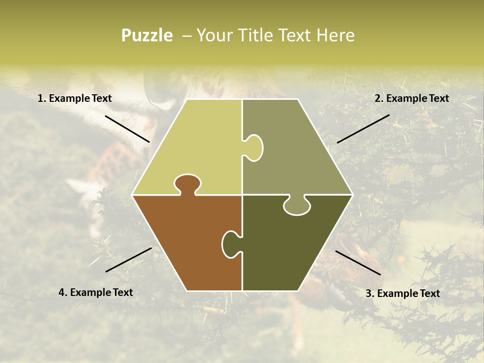 Tier Africa Big PowerPoint Template