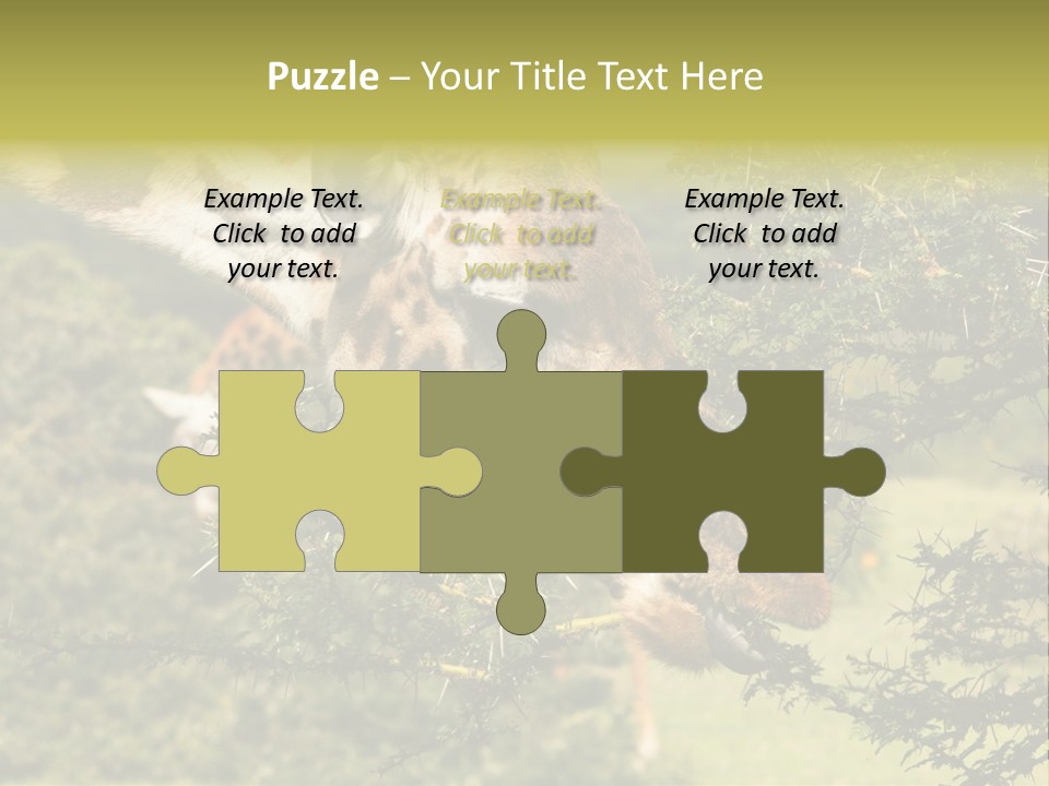 Tier Africa Big PowerPoint Template