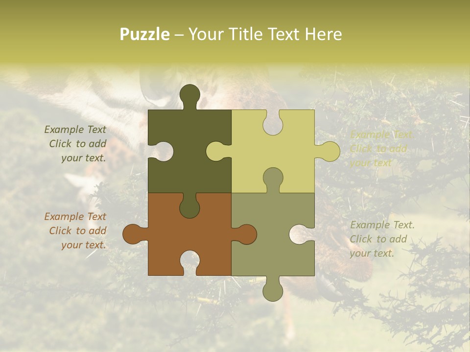 Tier Africa Big PowerPoint Template