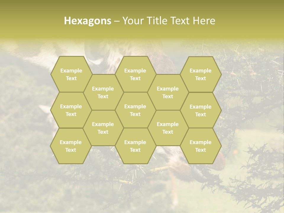 Tier Africa Big PowerPoint Template