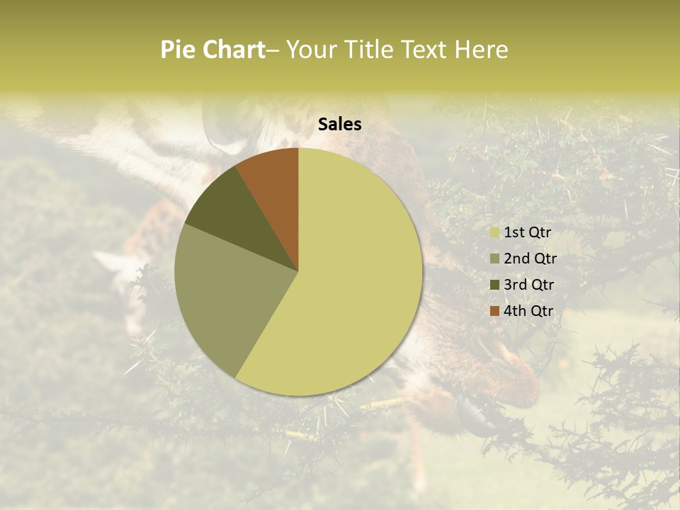 Tier Africa Big PowerPoint Template