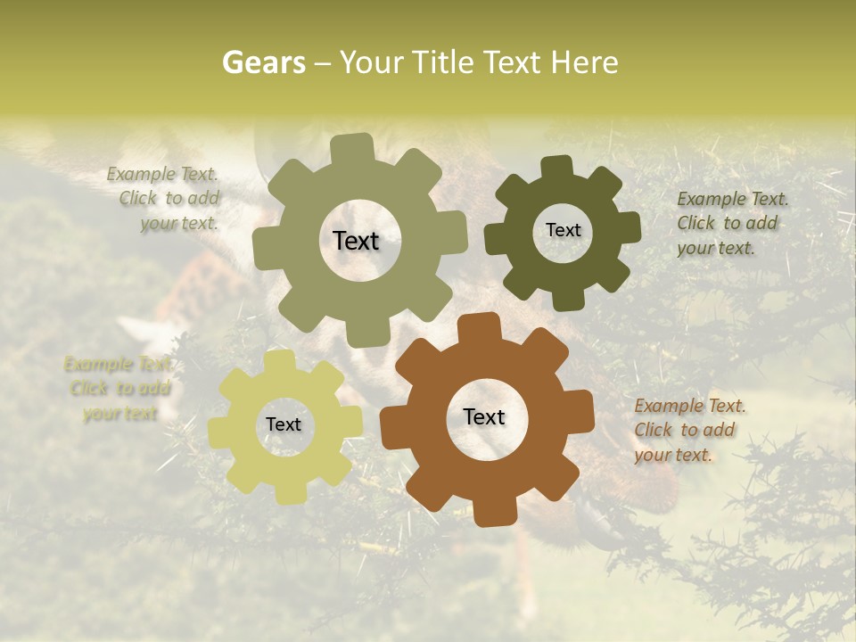 Tier Africa Big PowerPoint Template